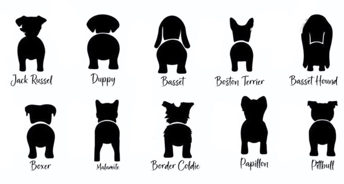 Framed Engraved Dog leash holder